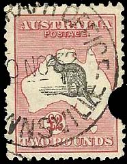 Townsville roo